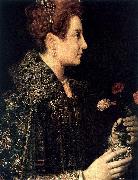 ANGUISSOLA  Sofonisba Profile Portrait of a Young Woman oil painting artist